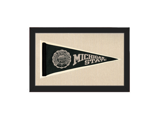 Vintage Michigan State Pennant