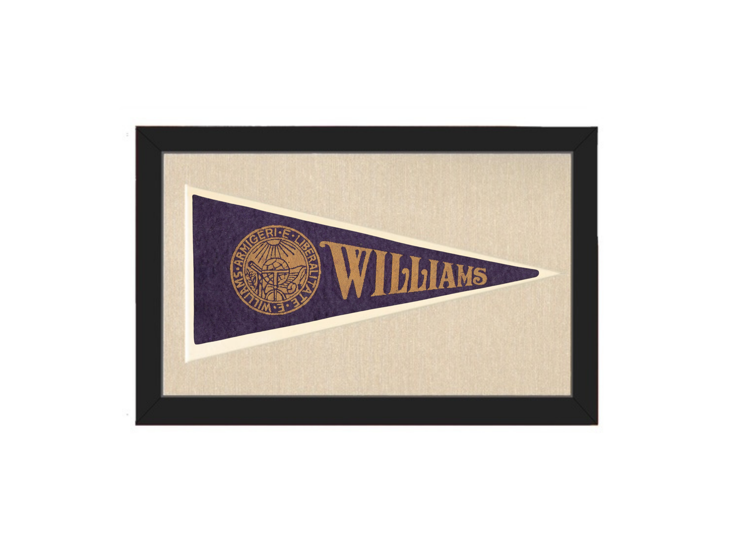 Vintage Williams College Pennant