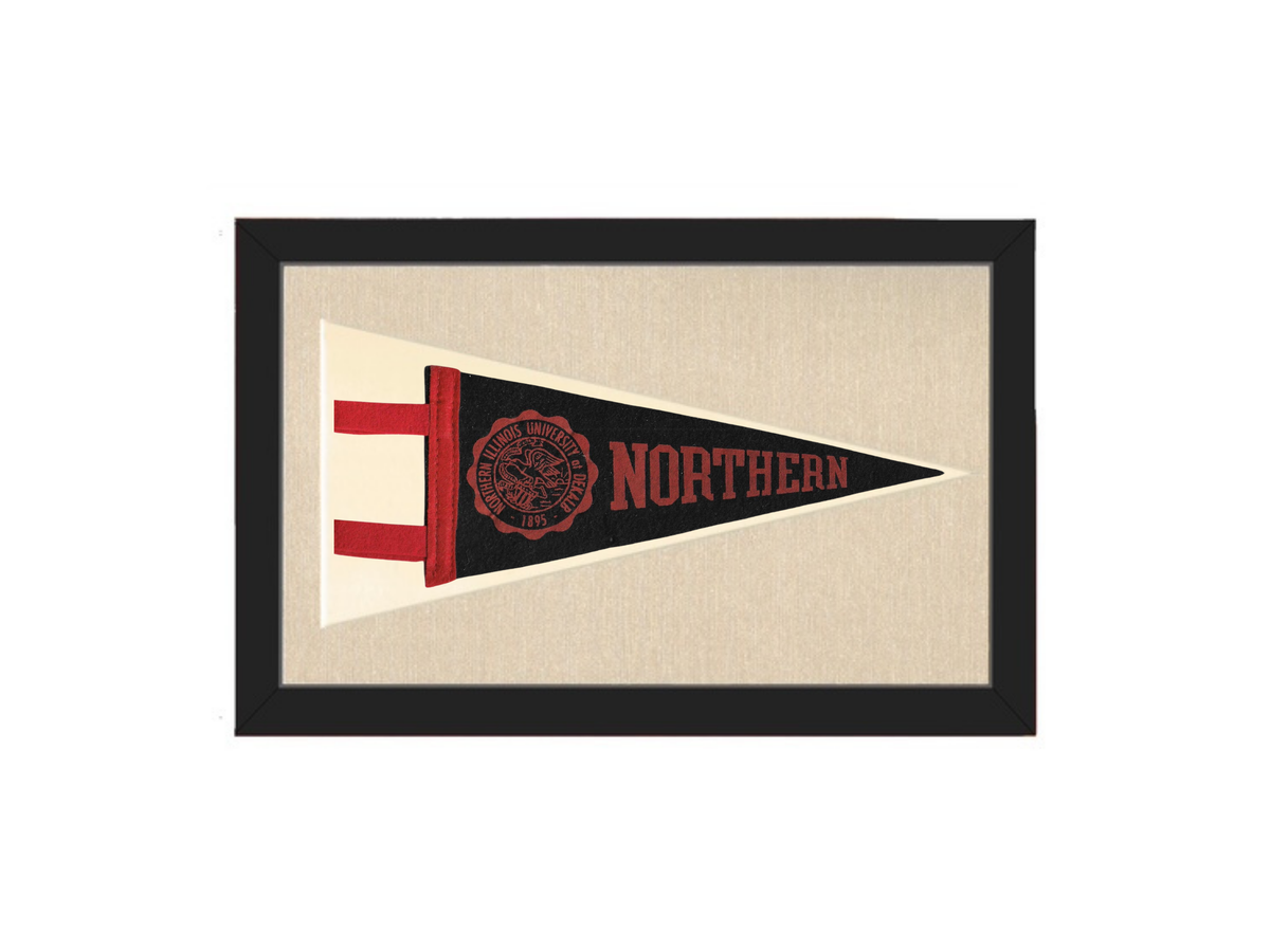 Vintage Northern Illinois Flag