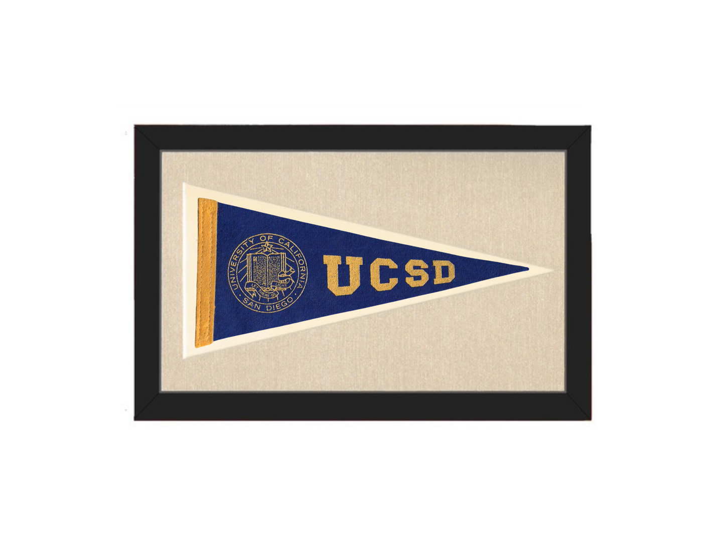 Vintage UCSD Pennant
