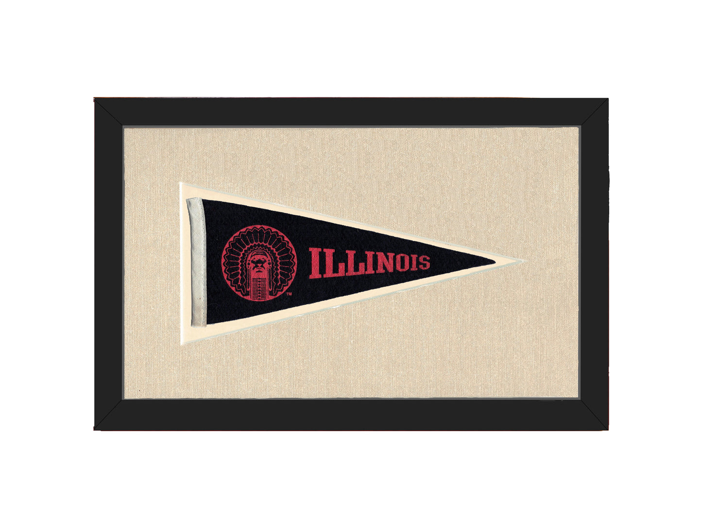 Vintage Illinois Pennant