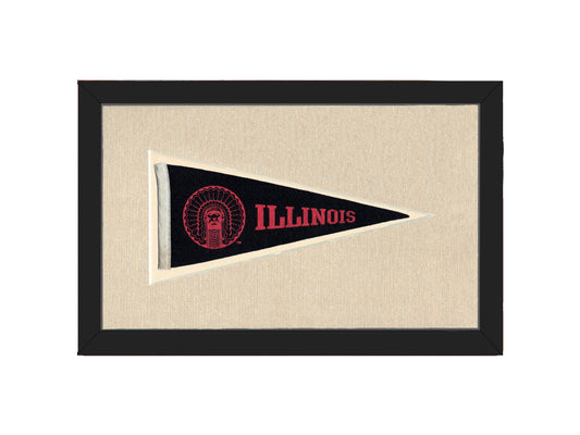 Vintage Illinois Pennant