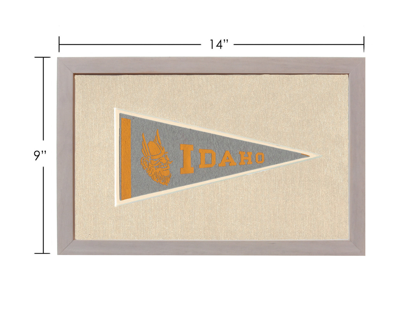 Vintage University of Idaho Pennant