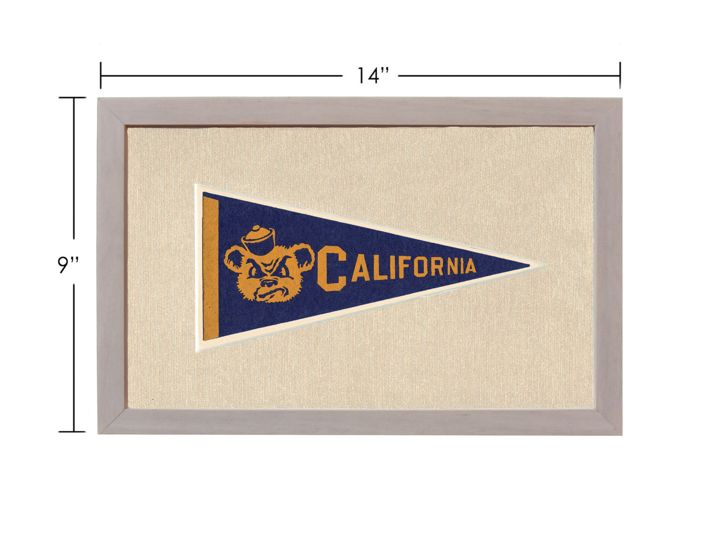 Vintage University of California Pennant
