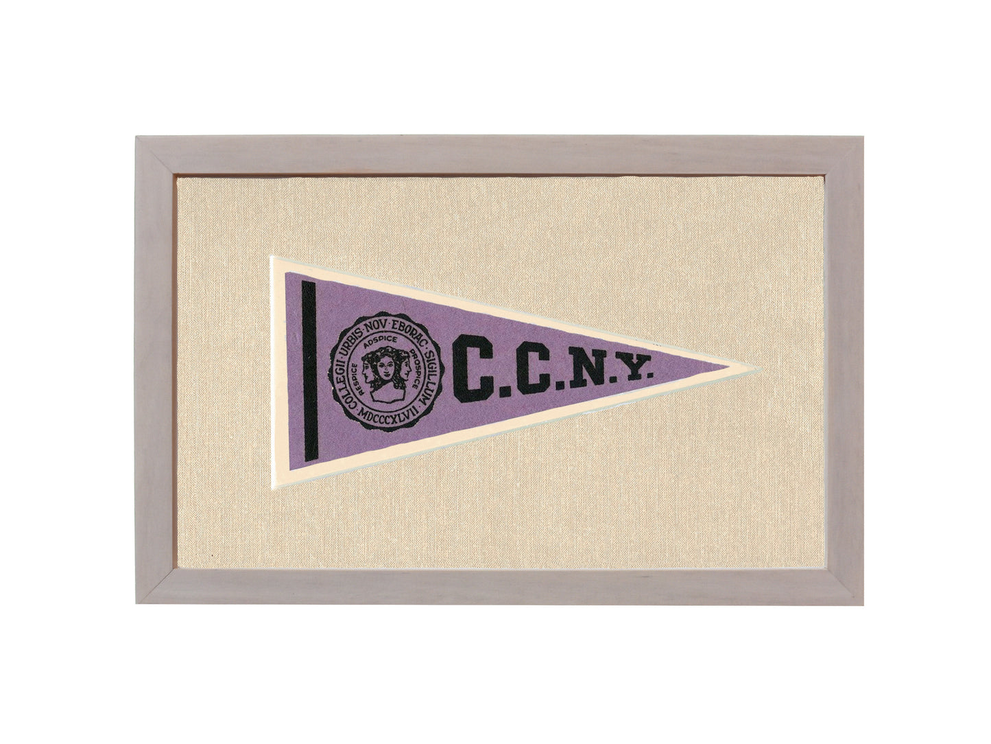 Vintage City College of New York Pennant