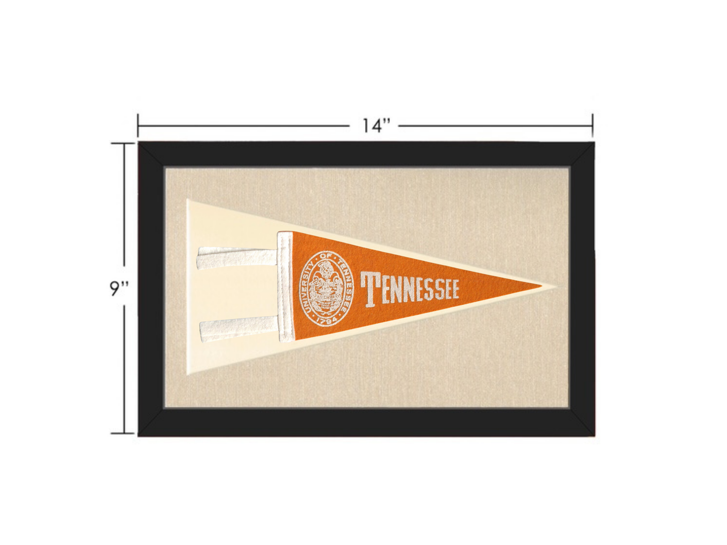 Vintage Tennessee Pennant
