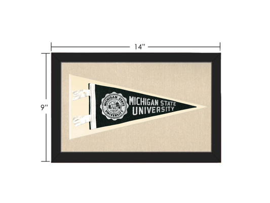 Vintage Michigan State Pennant
