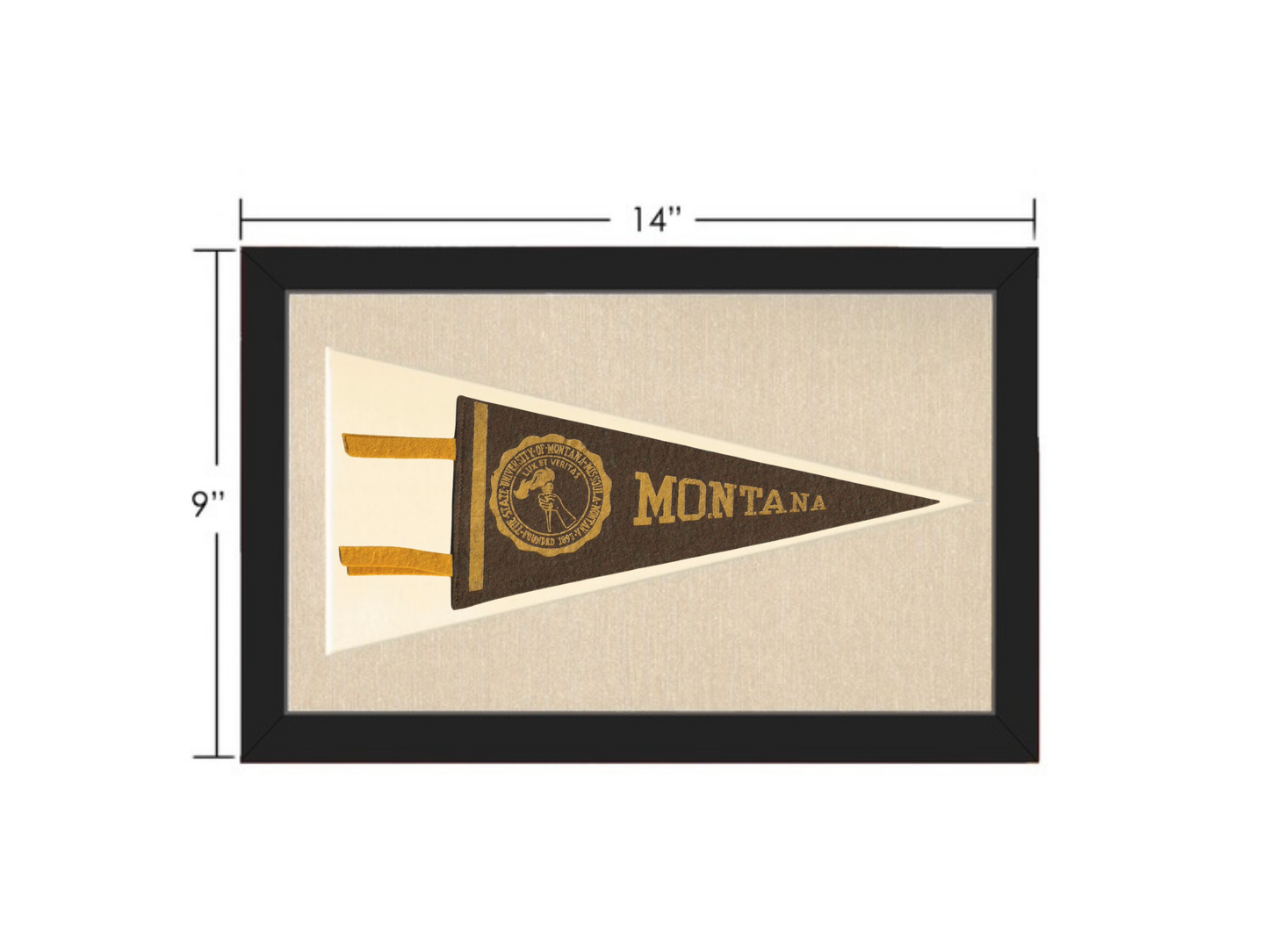 Vintage Montana Pennant