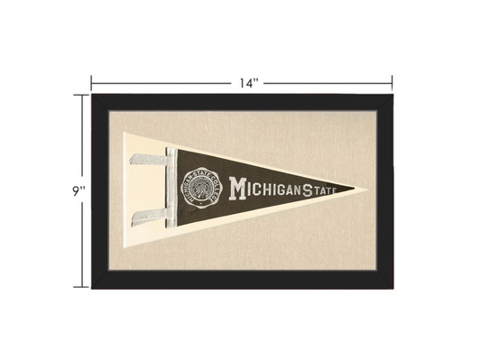 Vintage Michigan State Pennant