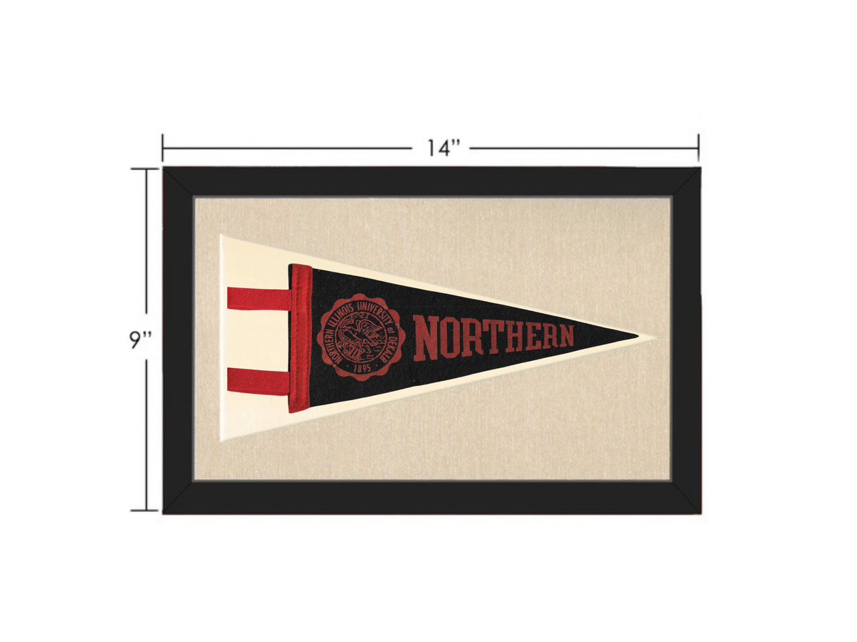 Vintage Northern Illinois Flag