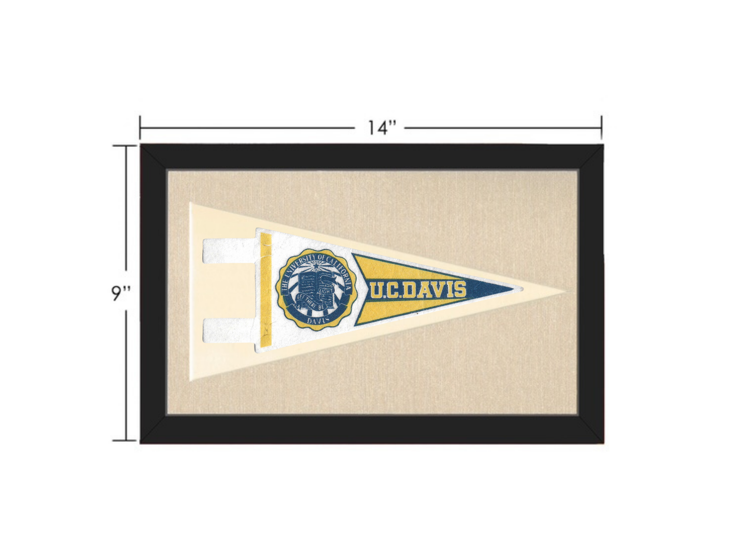 Vintage UC Davis Pennant