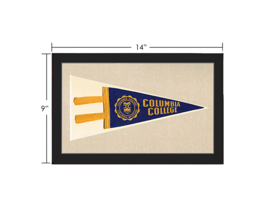 Vintage Columbia College Pennant