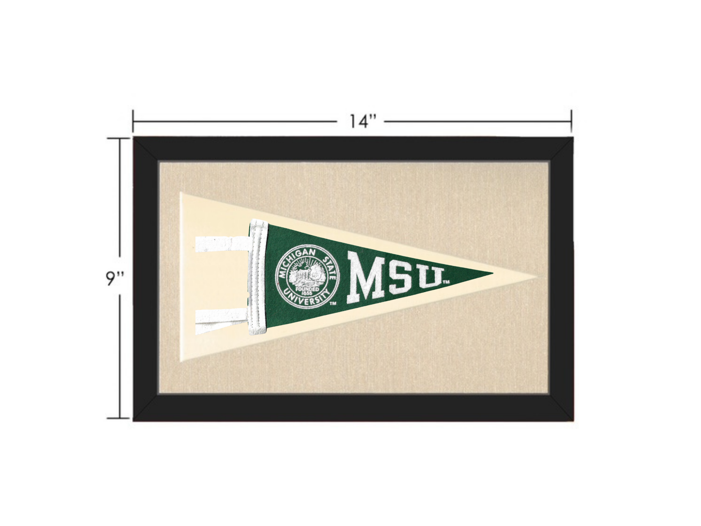 Vintage Michigan State Pennant