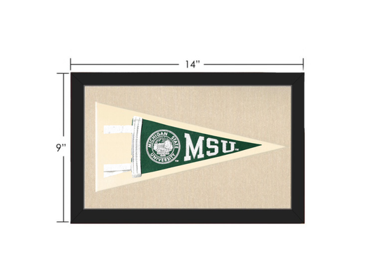 Vintage Michigan State Pennant