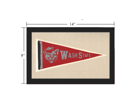 Vintage Washington State Pennant