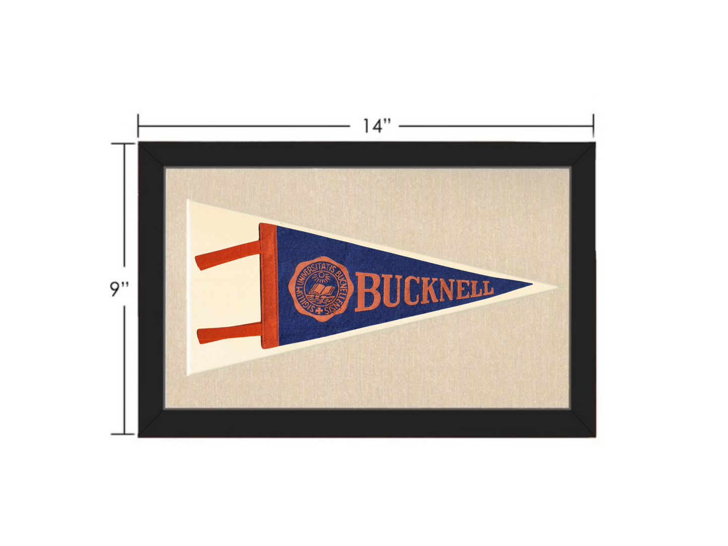 Vintage Bucknell University Pennant