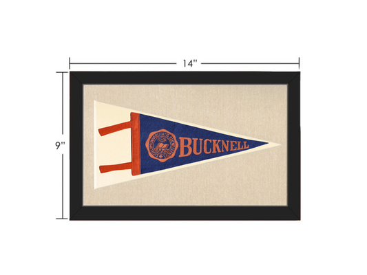 Vintage Bucknell University Pennant