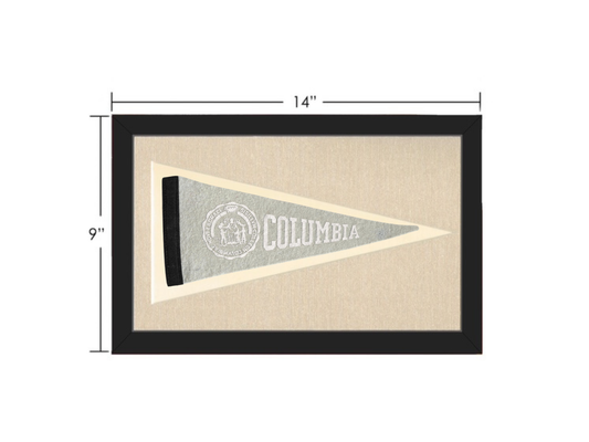Vintage Columbia University Pennant