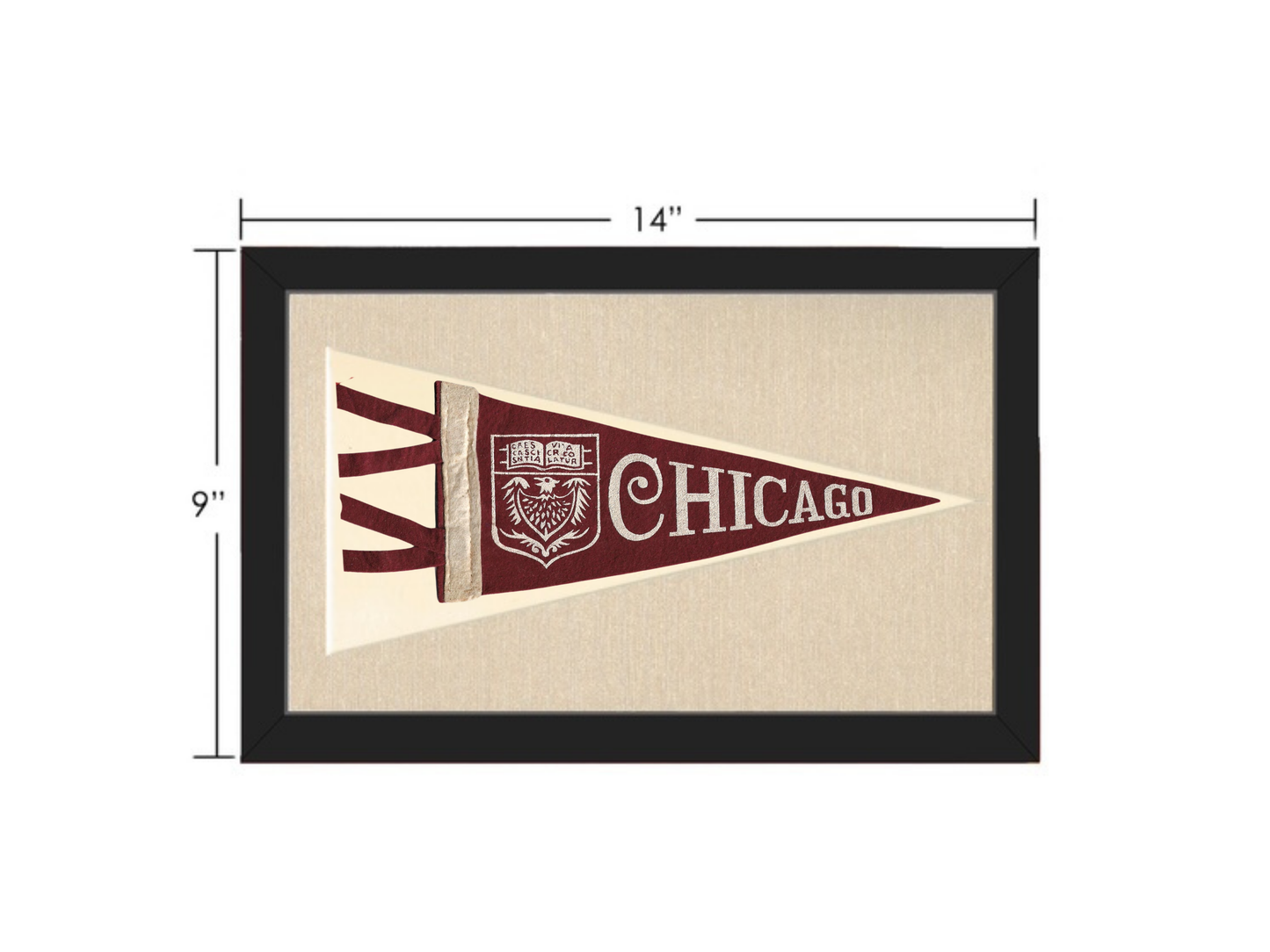 Vintage University of Chicago Pennant