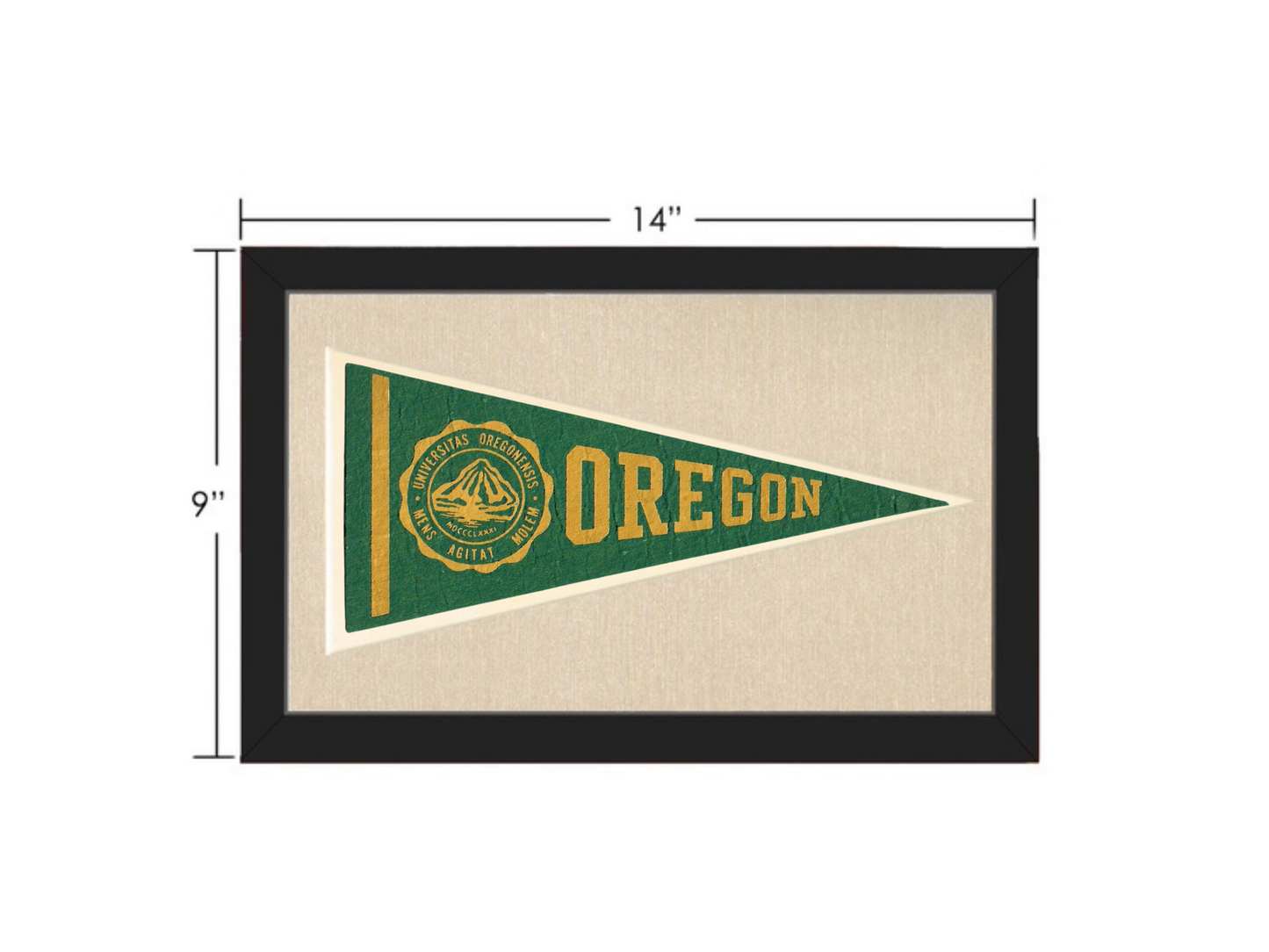 Vintage Oregon Pennant