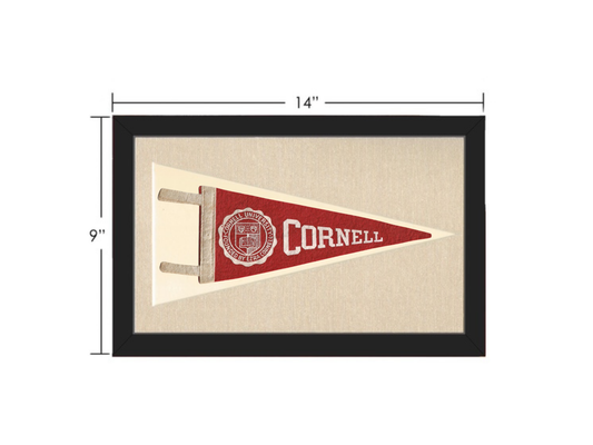Vintage Cornell Pennant