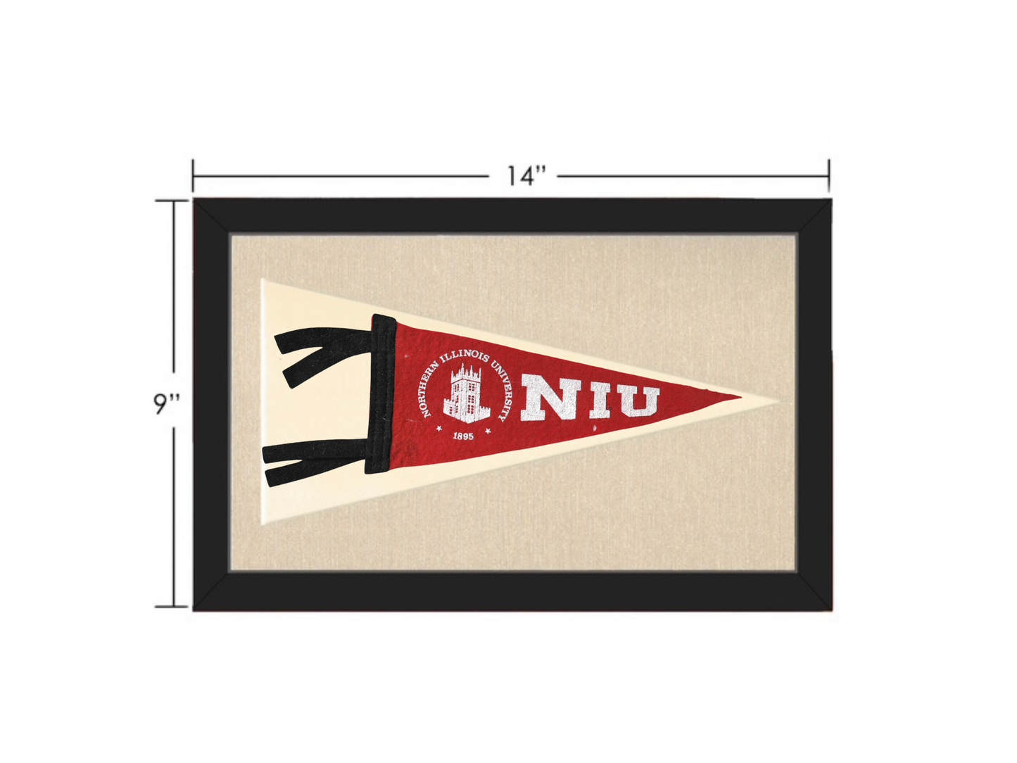 Vintage NIU Pennant