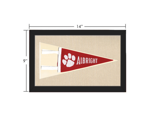 Vintage Albright University Pennant