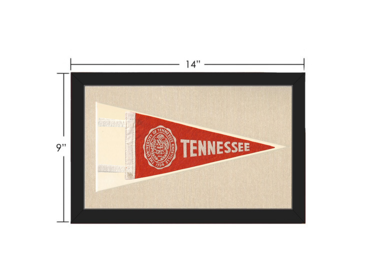 Vintage Tennessee Pennant