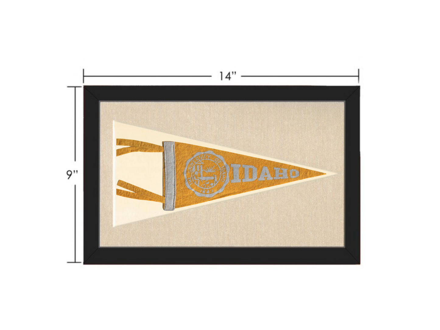 Vintage University of Idaho Pennant