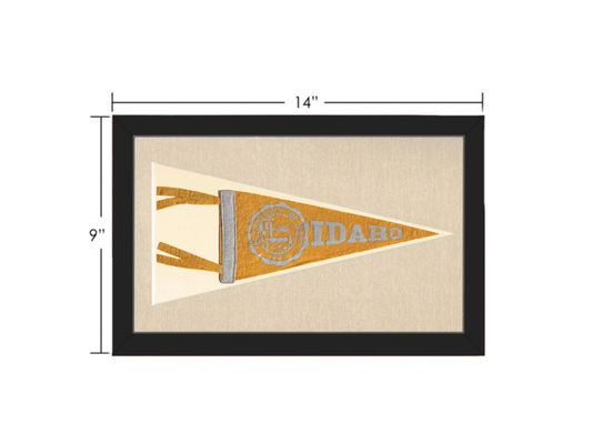 Vintage University of Idaho Pennant