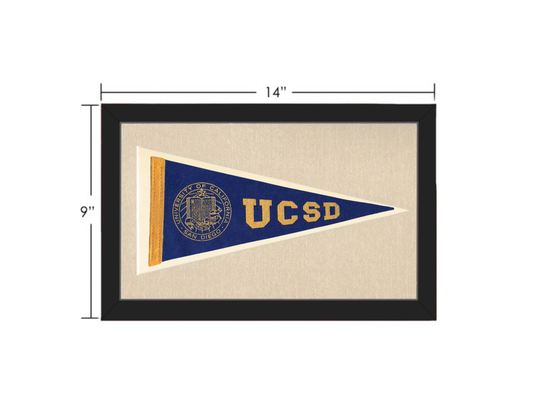Vintage UCSD Pennant