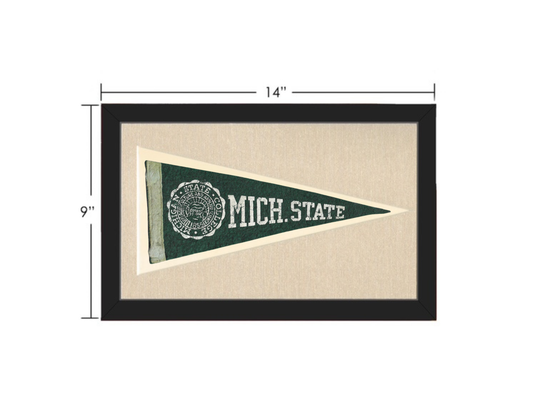 Vintage Michigan State Pennant