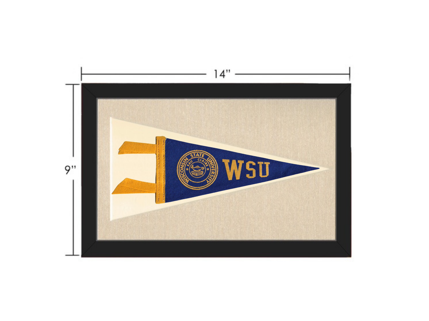 Vintage Wisconsin State University Pennant
