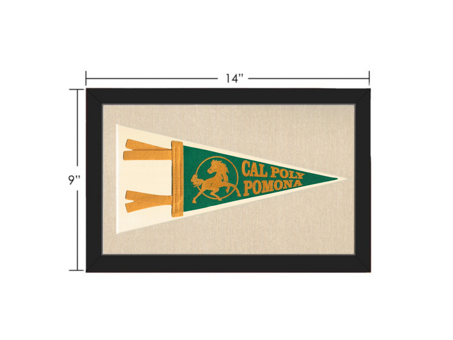 Vintage Cal Poly Slo Pennant