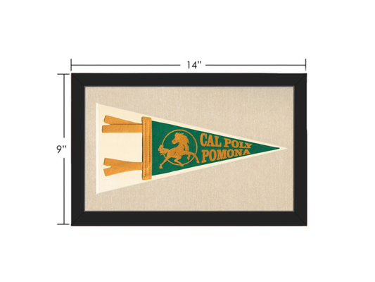 Vintage Cal Poly Slo Pennant