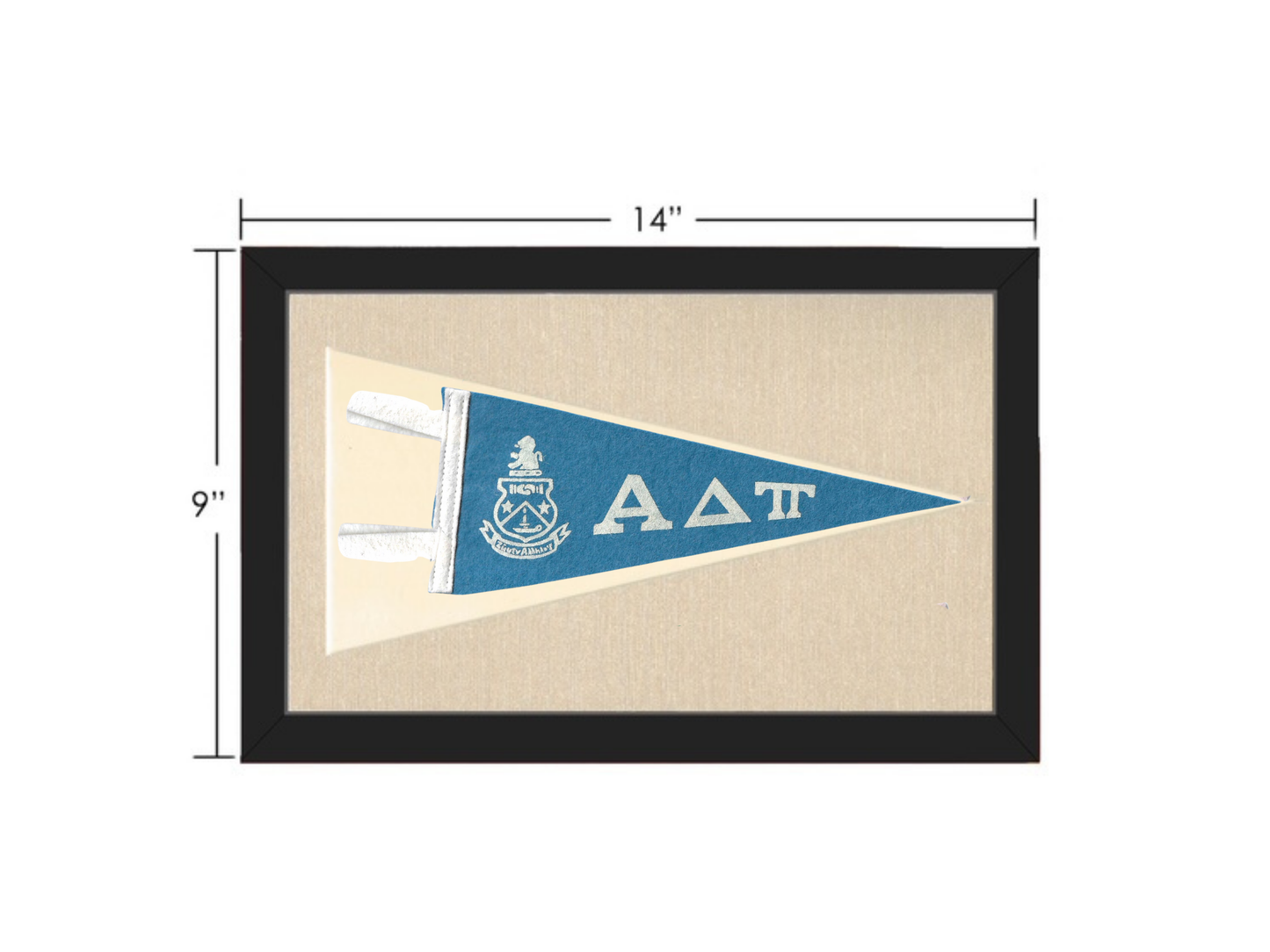 Vintage Alpha Delta Phi Pennant