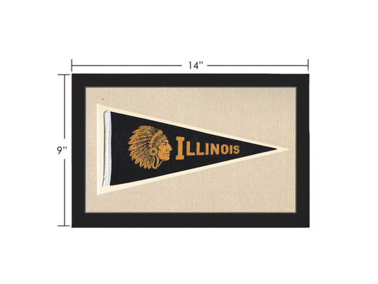 Vintage Illinois Pennant