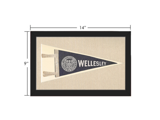 Vintage Wellesley Pennant