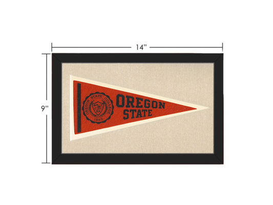 Vintage Oregon State Pennant
