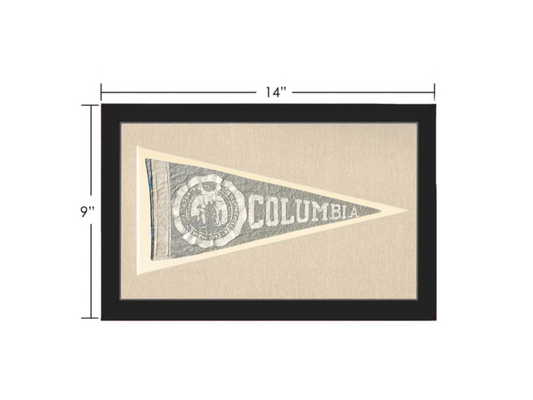 Vintage Columbia University Pennant