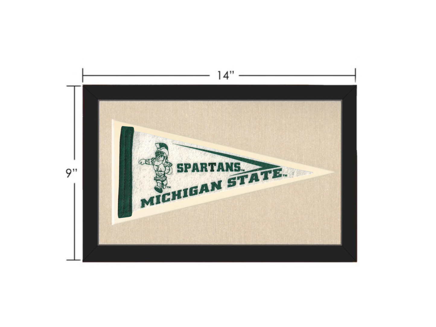 VIntage Michigan State University Spartans Pennant