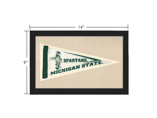 VIntage Michigan State University Spartans Pennant