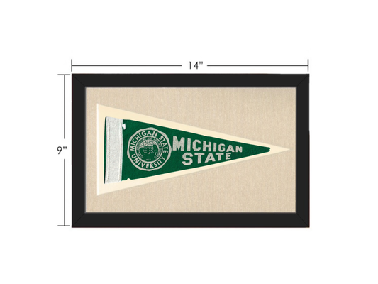 Vintage Michigan State Pennant