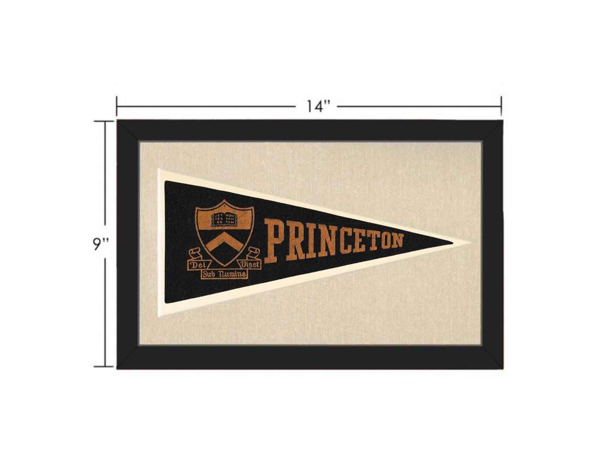 Vintage Princeton University Pennant
