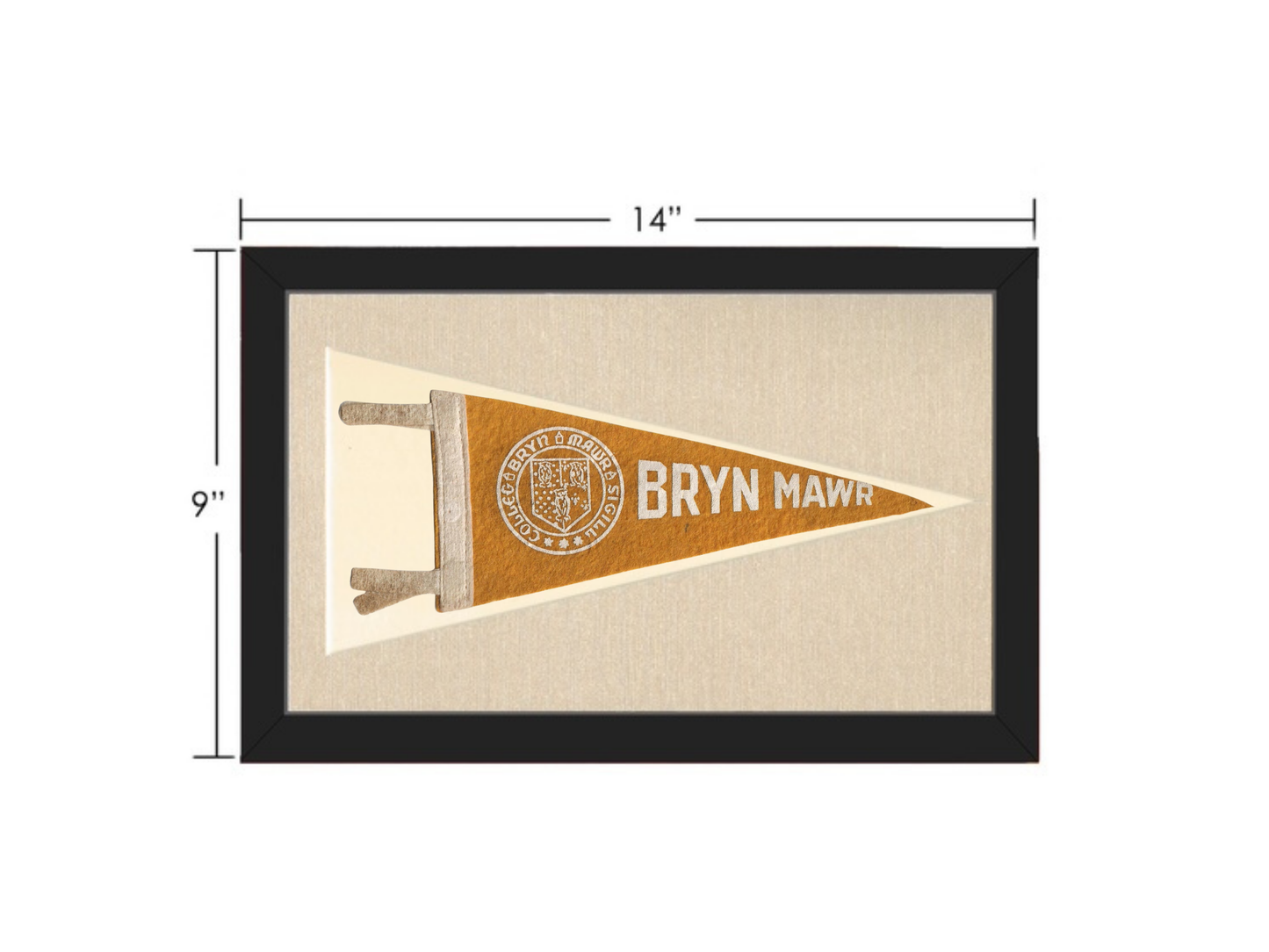 Vintage Bryn Mawr Pennant