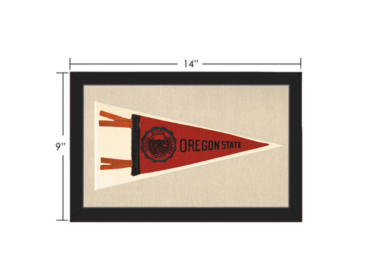 Vintage Oregon State Pennant