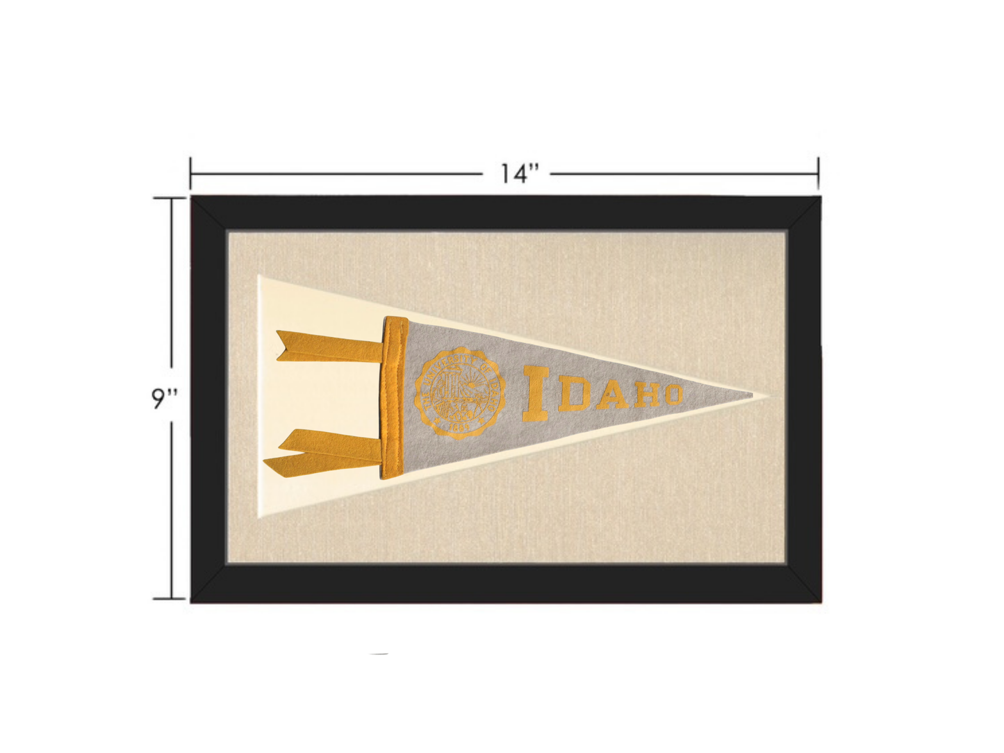 Vintage University of Idaho Pennant