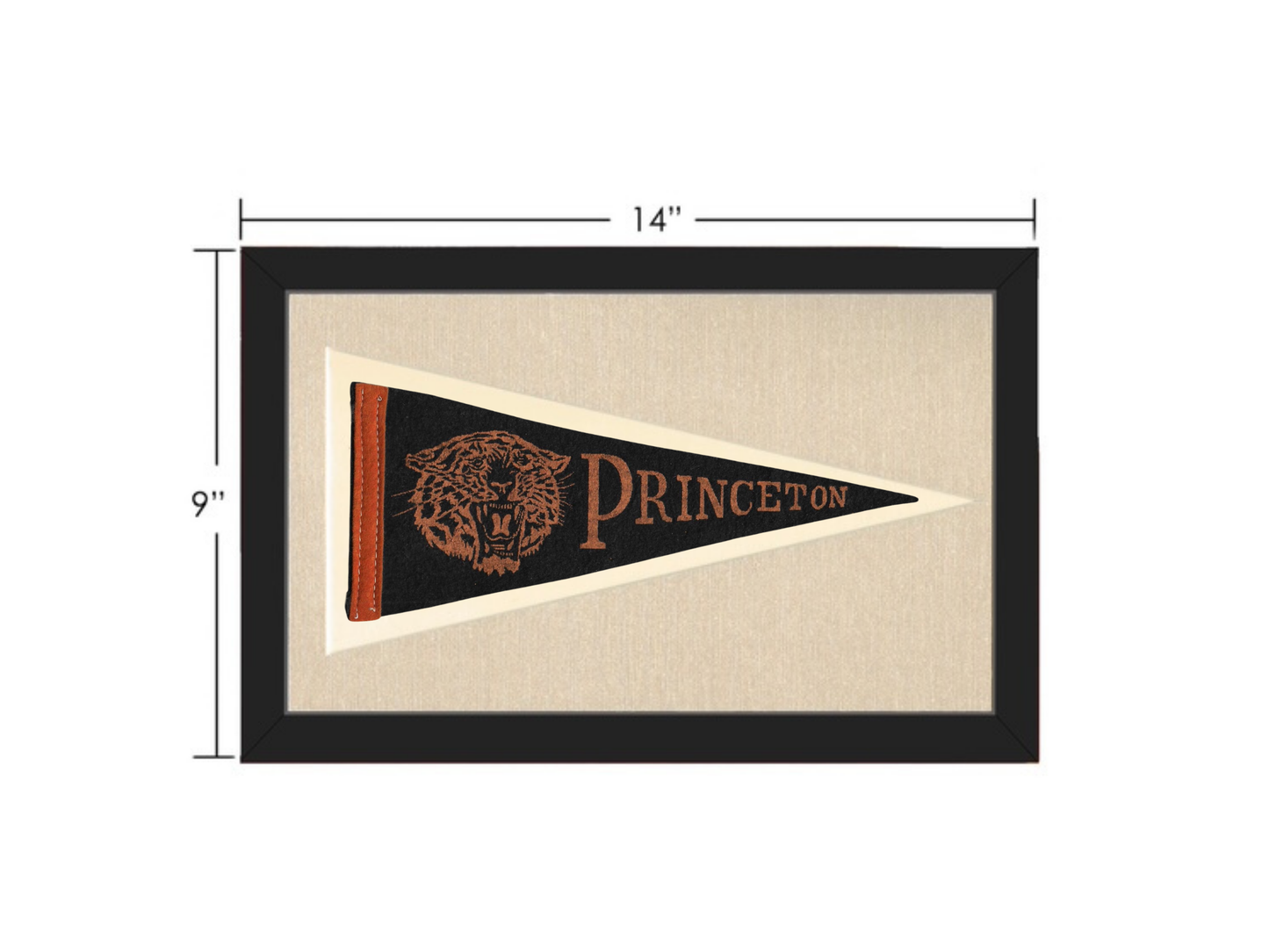 Vintage Princeton University Pennant