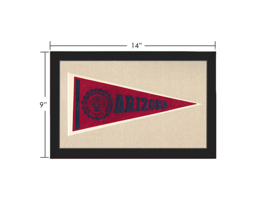 Vintage Arizona Pennant