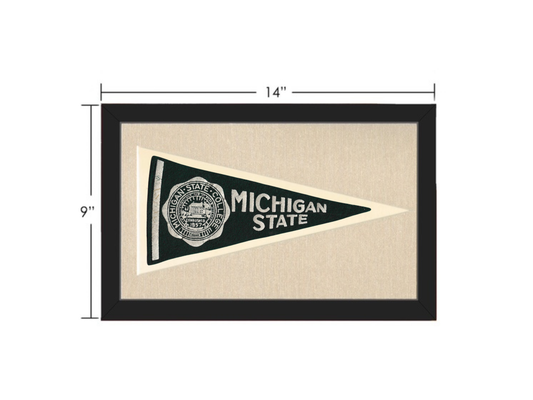 Vintage Michigan State Pennant